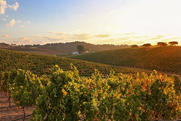 Alentejo Die Ruhe nach der Hitze